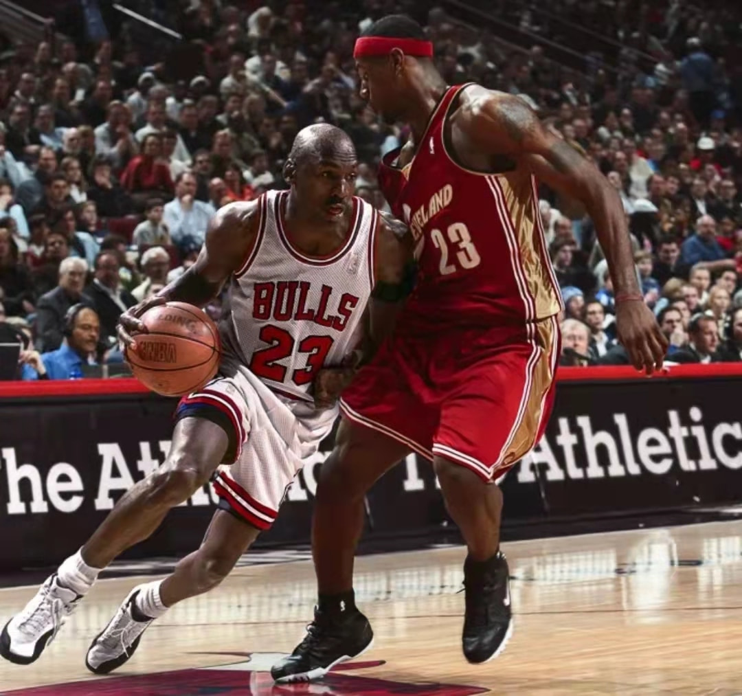 以其惊人的 以其惊人的